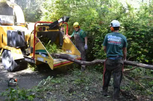 tree services Astoria